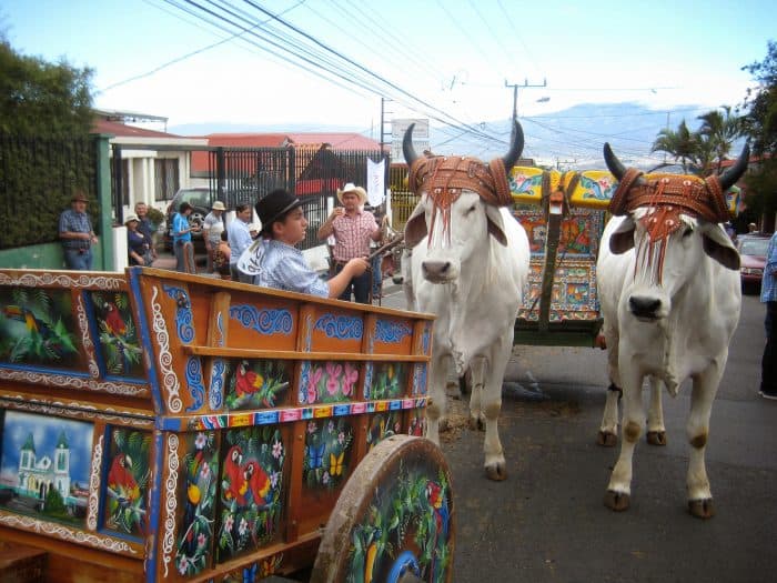 Learn About the “National Boyero Day” Festivity of Costa Rica – The Costa Rica News