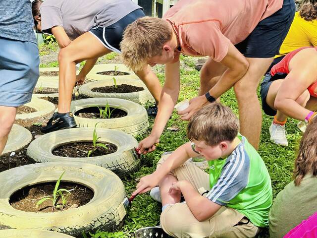 Wild species, spaces highlight Greensburg Salem students’ summer visit to Costa Rica – TribLIVE